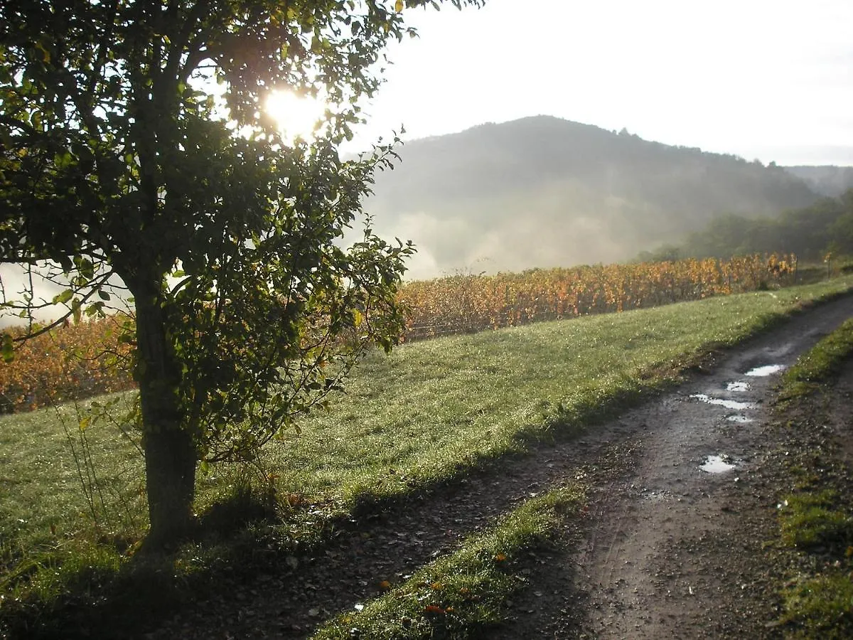 Grange Renovee En Pleine Nature Valady
